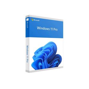 Windows 11 Pro 64-bit All Lng PK Lic Online DwnLd NR